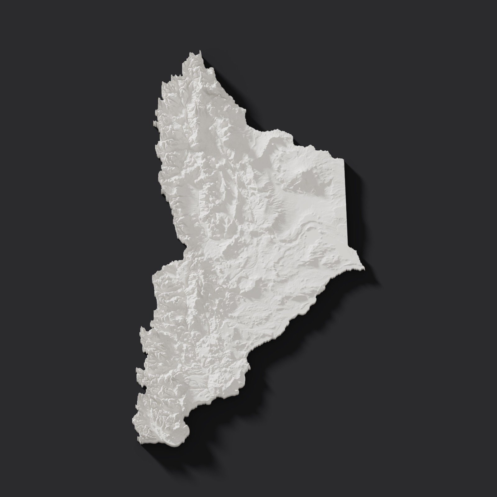 Neuquén en relieve 3D