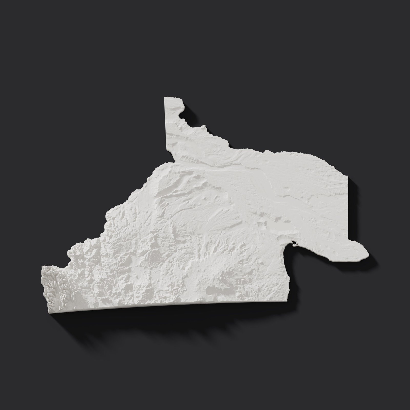 Río Negro en relieve 3D